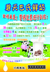 鲜奶