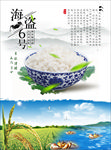 蟹田大米大米