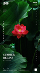 立夏谷雨节气创意