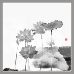 荷花扇面画