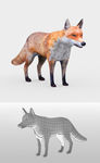 狐狸3D模型