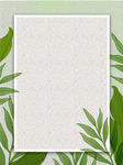 手绘树叶植物插画封面