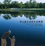 钓鱼 白鹭 木栈道 旅游 景色