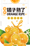 橘子果蔬促销海报