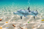 海洋