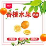 香橙