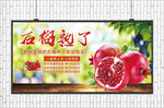 石榴海报