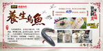 乌鱼简介