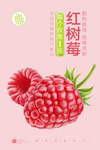红树莓