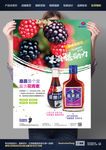 桑葚酒海报