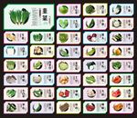 蔬菜展板