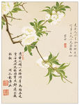 国画