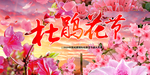杜鹃花
