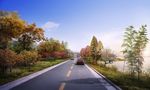 道路景观