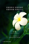 立夏