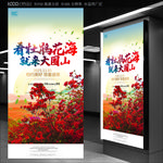 杜鹃花海
