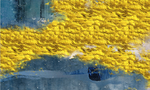 抽象油画