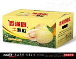 香满园甜瓜纸箱展开图
