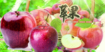 苹果海报