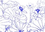 荷花秀逸  工笔画