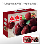 杨梅包装礼盒
