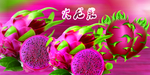 火龙果