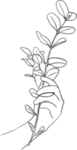 ins植物春天手绘插画线条图案