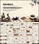 中医学中医药中草药中医院PPT