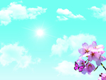 樱花蓝天白云