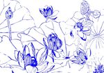 百变荷莲 美术画