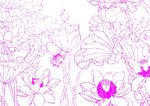 秋韵荷塘景致   手绘画
