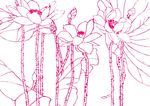 靓丽荷仙花   工笔画