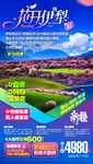 c花开伊利