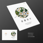 小雏菊花朵女性美容小说封面