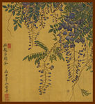 藤蔓