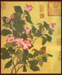 国画牡丹花
