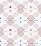 大牌密集香奈儿