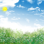 夏日分层蓝天白云野花