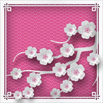 樱花 树