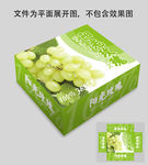 阳光玫瑰葡萄包装设计