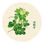 手绘决明子