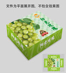 阳光玫瑰葡萄包装设计