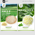 豆芽