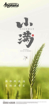 小满
