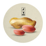 手绘花生