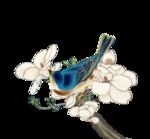 手绘花蓝鸟