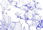 美丽花儿 古画