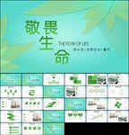 敬畏生命植物成长树苗生长ppt