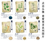 中药（五）