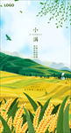 小满芒种节气海报